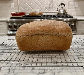 Easy 100% Whole Wheat Bread Photo