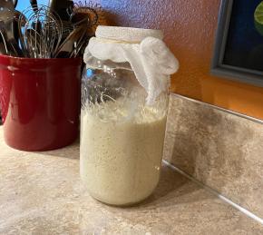 Sourdough Starter Photo