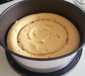 Cornflake Corn Cake Photo