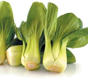 Sautéed Bok Choy Photo